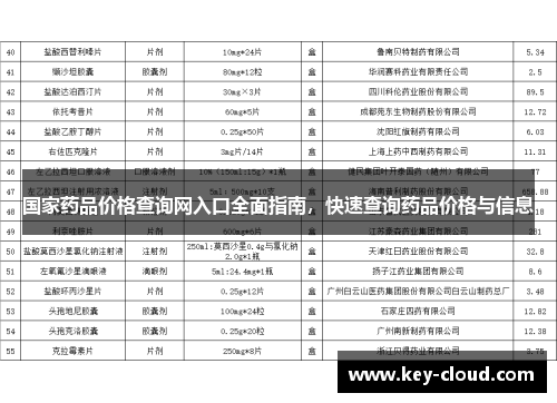 国家药品价格查询网入口全面指南，快速查询药品价格与信息