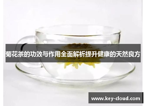 菊花茶的功效与作用全面解析提升健康的天然良方